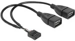 Delock USB-Kabel USB 2.0 Pfostenstecker 8pol., USB-A Buchse 0.20 m Schwarz