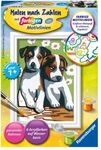 Malen nachZahlen Ravensburger S&uuml;&szlig;e Welpen Serie F