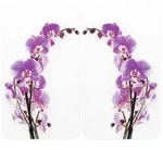 Herdabdeckplatte Universal Mod. Orchideenbl&uuml;te, 2er Set, f&uuml;r alle Herdarten