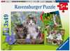 Puzzle Ravensburger Süße Samtpfötchen 3 X 49 Teile, Spielwaren
