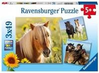 Puzzle Ravensburger Liebe Pferde 3 X 49 Teile