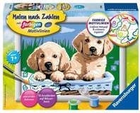 Ravensburger Malen nach Zahlen, S&uuml;&szlig;e Hundewelpen