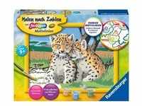 Ravensburger - Malen nach Zahlen - Kleine Leoparden