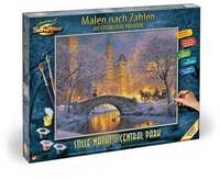 Malen nach Zahlen - Stille Nacht im Central Park