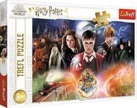 Harry Potter (Puzzle)