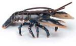 Spielfigur Hummer 1,5cm