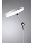 Paulmann NUMIS 79884 LED-Tischlampe LED 11W Wei&szlig;