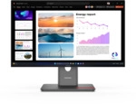 Lenovo ThinkVision P24Q-40 23,8 QHD-Monitor 64B2GAT1EU