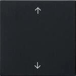 Gira 5389005 Wippe 1fach mit Pfeilsymbolen System 55, Schwarz matt
