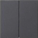 Gira 537028 Wippe 2fach unbedruckt System 55, Anthrazit