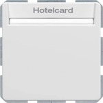 Berker 16406099 Relais-Schalter mit Zentralst&uuml;ck f&uuml;r Hotelcard Berker, Q.1/Q.3,