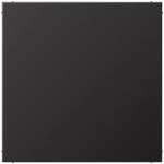Jung AL2994BD Blind-Abdeckung, dark (lackiertes Aluminium)