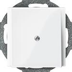 Merten 296319 Zentralplatte Leitungsauslass, System M, polarwei&szlig; gl&auml;nzend
