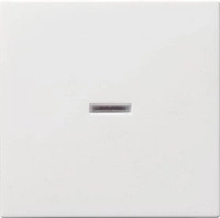 Gira 029027 Wippe mit Kontrollfenster, System 55, reinwei&szlig; seidenmatt