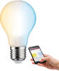 Paulmann Smart Home Zigbee Filament 230V LED Birne E27 806lm 7W, Tunable White,