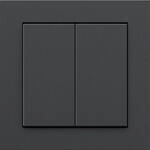 Senic Friends of Hue Outdoor Switch, Schwarz (100187)