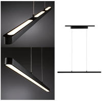 Paulmann URail LED Pendel Lento 1800lm 41W 2700K 230V, dimmbar, schwarz matt (96816)