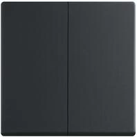 Busch-Jaeger 6736 FoH-885 Wippe, Busch-dynasty, Zigbee Friends of Hue, schwarz matt