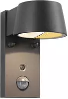 Paulmann LED Au&szlig;enwandleuchte Capea Bewegungsmelder insektenfreundlich IP44 96x153mm