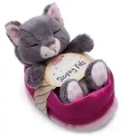 NICI - Sleeping Pets - Green - Kuscheltier Katze grau 12cm schlafend im K&ouml;rbchen