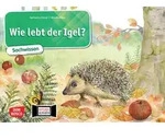 Wie lebt der Igel? Kamishibai Bildkartenset. von Katharina St&ouml;ckl-Bauer / Don...