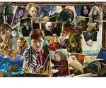 Ravensburger Puzzle 12000462 - Harry Potter gegen Voldemort - 1000 Teile Harry Potter