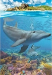 Eurographics 8251-5560 - Delfine Puzzle 250 Teile