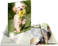 Herma Sammelmappe A4 Tiere - Hunde