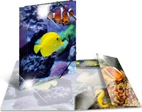 Herma Sammelmappe A4 Tiere - Fische