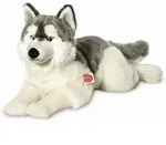 Teddy-Hermann - Husky liegend 60 cm / Teddy-Hermann / Spiel