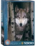 Eurographics 6000-1244 - Gray Wolf Puzzle 1.000 Teile / Eurographics / Spiel