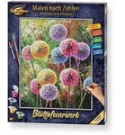 Malen nach Zahlen - Bl&uuml;tenfeuerwerk / Noris Spiele GmbH / Bei Hugendubel