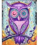 Ravensburger - Malen nach Zahlen - Dreaming Owl / Ravensburger / Spiel