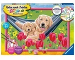 Ravensburger Malen nach Zahlen 20164 - Kuschelpause - Kinder ab 9 Jahren /