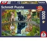 Schmidt Spiele - Standard - Dream Big! 1000 Teile / Schmidt Spiele / Spiel