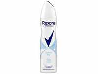 Rexona Cotton Dry Deo Spray
