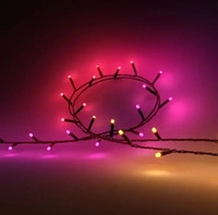 Philips Hue Festavia Lichterkette 20m LED Intelligente Strangleuchte 20000 mm