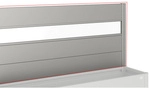 BIOHORT Sichtschutz, BxHxT: 398,3 x 91,1 x 4,2 cm, quarzgrau-metallic