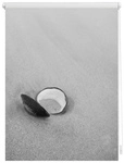 Lichtblick Rollo, &lrm;&lrm;Klemmfix, 60x150 cm&lrm;&lrm;, Muschel, schwarz wei&szlig; - grau