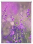 Lichtblick Rollo, &lrm;&lrm;Klemmfix, 120x150 cm&lrm;, Blumenwiese, fuchsia violett - lila