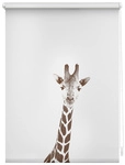 Lichtblick Rollo, &lrm;&lrm;Klemmfix, 120x150 cm&lrm;, Giraffe - braun