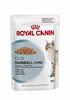 ROYAL CANIN Katzen-Nassfutter, 1 x FHN Pouch HAIRBALL CARE in Soße