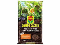 COMPO Kakteenerde »CACTEA®«, für Kakteen und Sukkulenten - braun