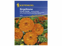 Kiepenkerl Ringelblume, Calendula officinalis, Samen, Blüte: orange