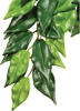 EXO TERRA Kunstpflanze, Rainforest Hanging Plants - Ficus - gruen