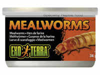 EXO TERRA Reptilienfutter, 34 g, Mehlwurm