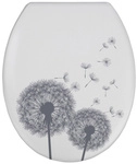 WENKO WC-Sitz &raquo;Astera&laquo;, Duroplast, oval, mit Softclose-Funktion - weiss