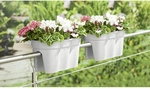 KHW Gel&auml;nderblumenkasten, Kunststoff (PP), wei&szlig;, oval - weiss