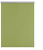 Lichtblick Rollo, ‎Thermo, ‎‎Klemmfix, 90x200 cm‎‎‎, grün - gruen