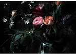 KOMAR Papiertapete &raquo;Still Life&laquo;, Breite: 368 cm, inkl. Kleister - bunt